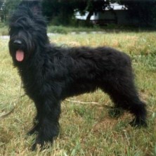 BET CHANTAL DE LA MISTRI