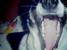 ������ :*