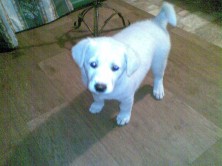 �������-������-����