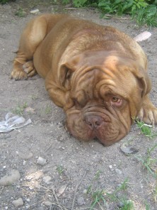 ����� ������ ��� ������ �����