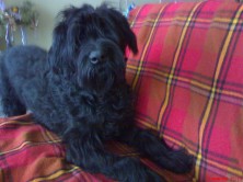 ������ ������� ���������