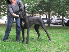 ���� ���� ( ����)