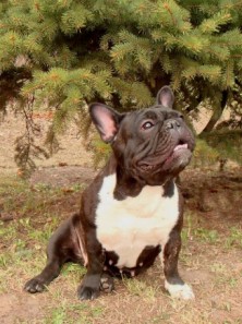 ���� ����� ��� �����