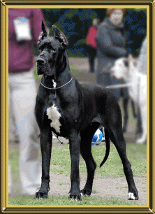 ���� �����