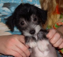 ������� �� �����