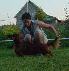 ������� ���� ���� ������ ����