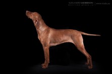 Magasparti Rutinos Kira