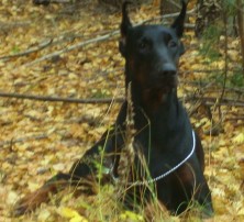 ����� ����� ������