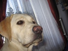 ��������� ������