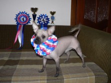 ���� (���������� ������ �������)