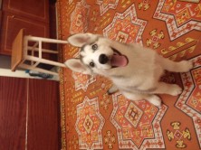 ������& ������ ���������