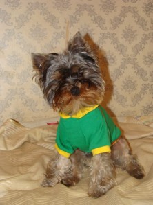 ���� �������