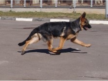 ������ ���� ��������