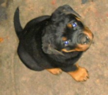 ��� ���� � ������