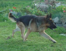 �������� ����