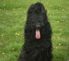 ����� ��� ��� ��� ����( ���� - ����)