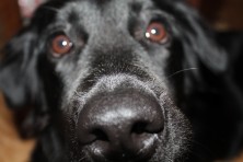 ����� ��������