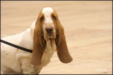 ����� ���� ����������