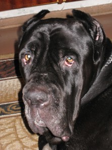 ���� ���� ���� � �������� ���� ����������