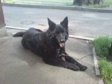 <����>(������)