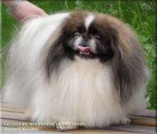 �������� ��-��� ��� ����