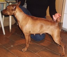 ���� ����� ������� ������� ��������