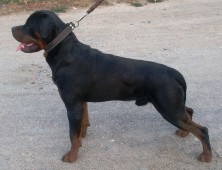 ��� ���� � ��������