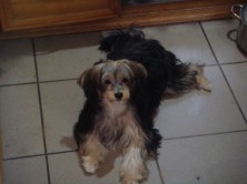 ������������� ��� ����