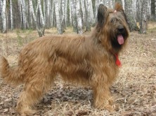 ������ ���� �� ������ �����