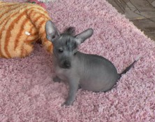 ������� ���� �����