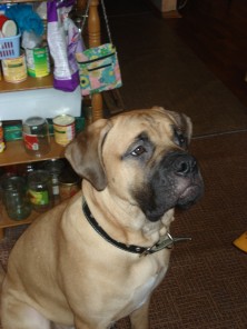 �������� ���� ���� ���� �� ���� ��������