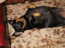 ��������