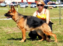 ����� ��� �������