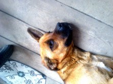 ��������