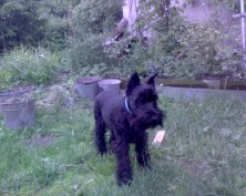 ������ ������ ������� �� ������ �� (����)