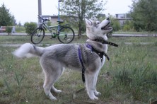 �������