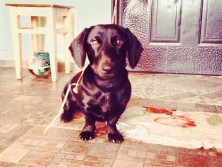 ����� �: