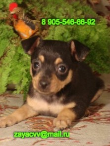 ���� � ������