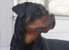 ������ � ������ ����