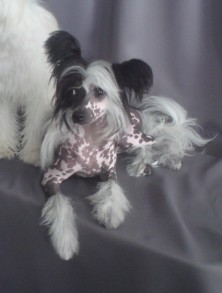 ������ ��� ����� ���������