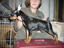 ���� ����� ���������� �������