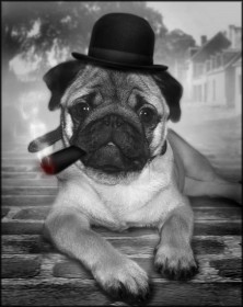 ����� (������� �������� �������)