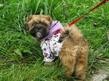 �������� � ������� ����� (������)