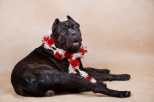 ��������� ����� �������� ��� �� ������