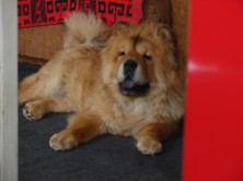 Drevniy Mif Egesichora