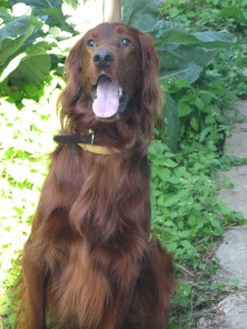 ���-������-����