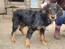 ������ �������� ���������