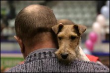 ������ � �������� �����