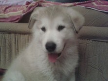 ����� ��� �����