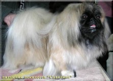 C������� �������� ������� �������